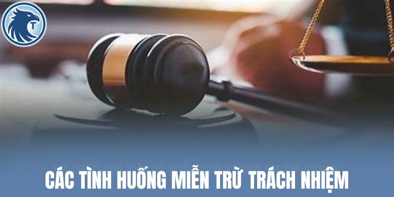 Các tình huống miễn trừ trách nhiệm