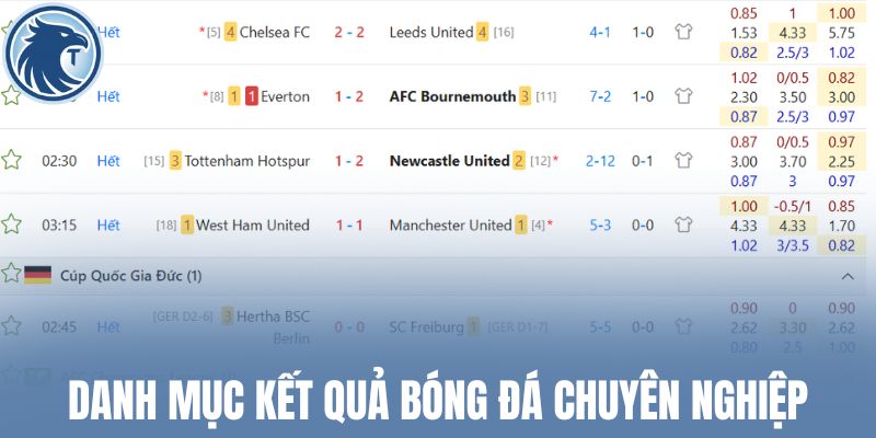 Danh mục kết quả bóng đá chuyên nghiệp