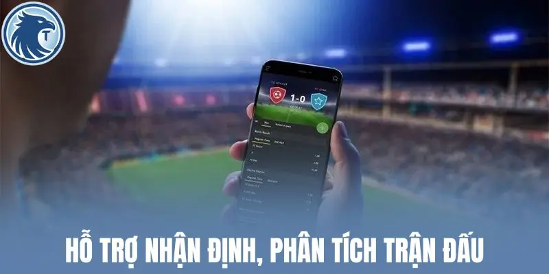 Hỗ trợ nhận định, phân tích trận đấu