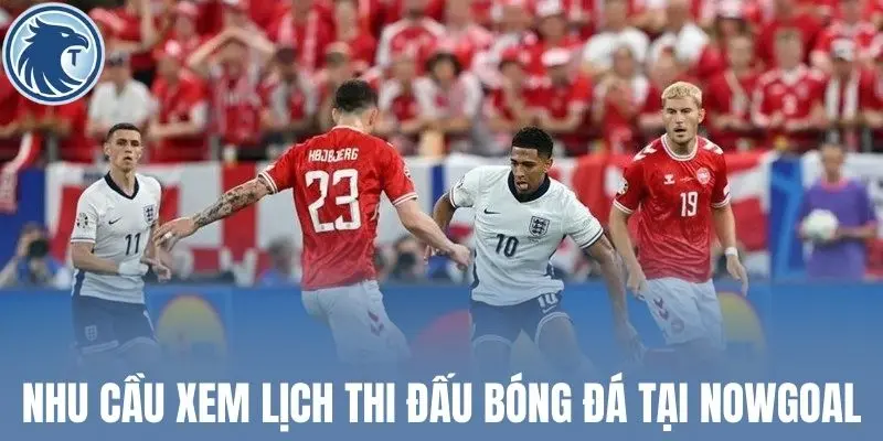 Nhu cầu xem lịch thi đấu bóng đá tại Nowgoal