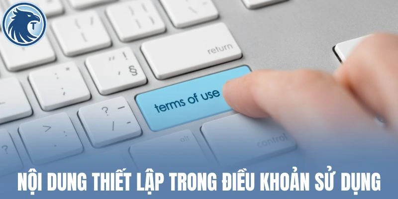 Nội dung thiết lập trong điều khoản sử dụng