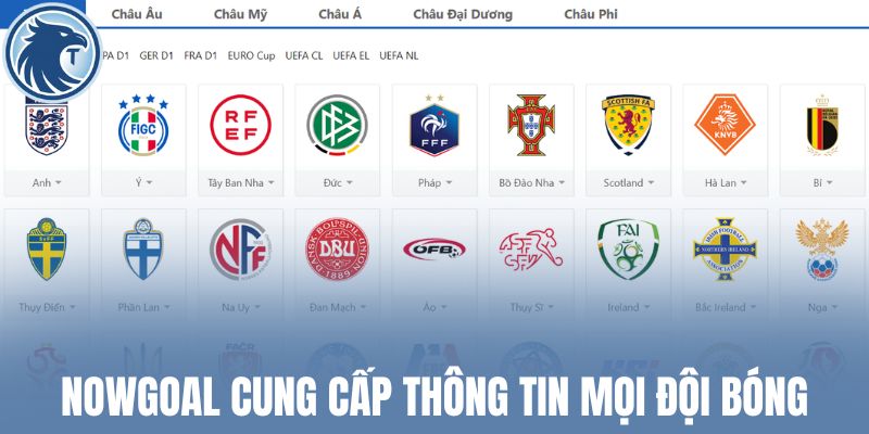 Nowgoal cung cấp thông tin mọi đội bóng