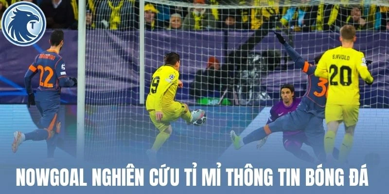 Nowgoal nghiên cứu tỉ mỉ thông tin bóng đá 