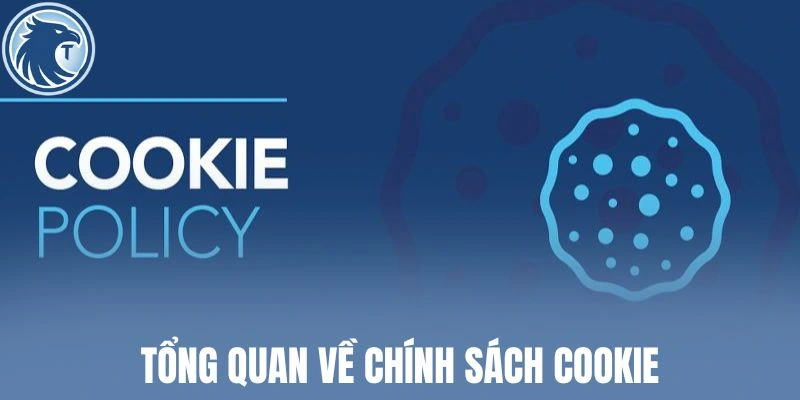 Tổng quan về chính sách cookie