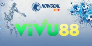 Vivu88 – Cá Cược Bóng Đá Uy Tín, Kèo Đa Dạng Và Minh Bạch