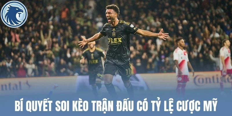 Bí quyết soi kèo trận đấu có tỷ lệ cược Mỹ