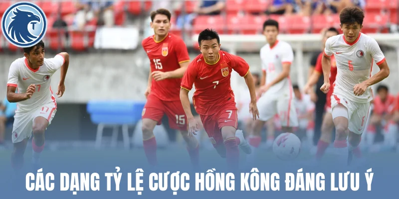 Các dạng tỷ lệ cược Hồng Kông đáng lưu ý