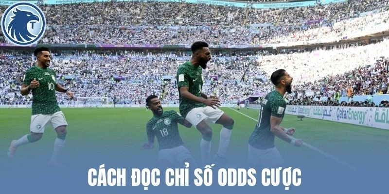 Cách đọc chỉ số Odds cược