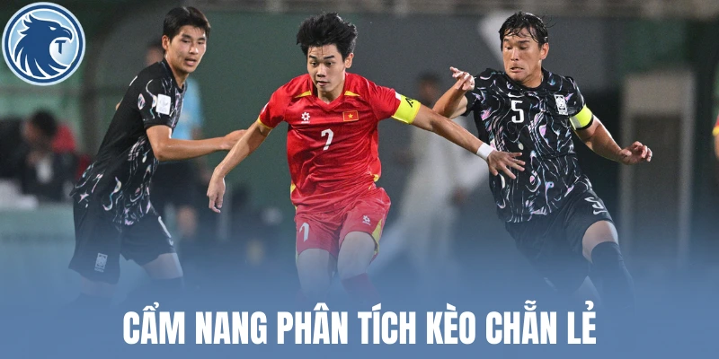 Cẩm nang phân tích kèo chẵn lẻ