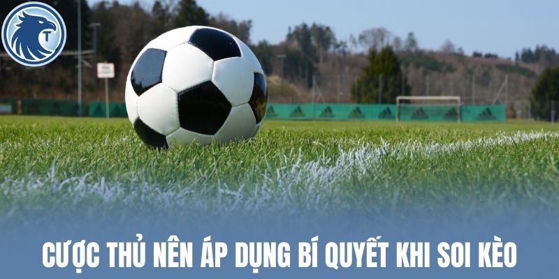 Cược thủ nên áp dụng bí quyết khi soi kèo