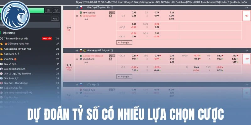 Dự đoán tỷ số có nhiều lựa chọn cược