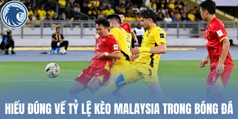 Hiểu đúng về tỷ lệ kèo Malaysia trong bóng đá