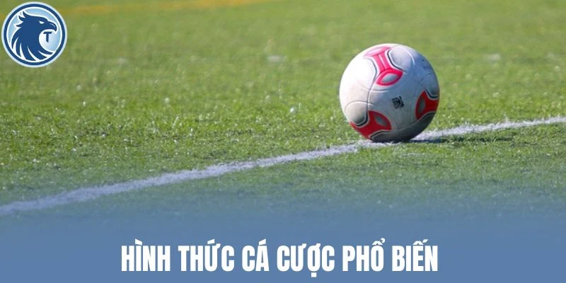 Hình thức cá cược phổ biến 