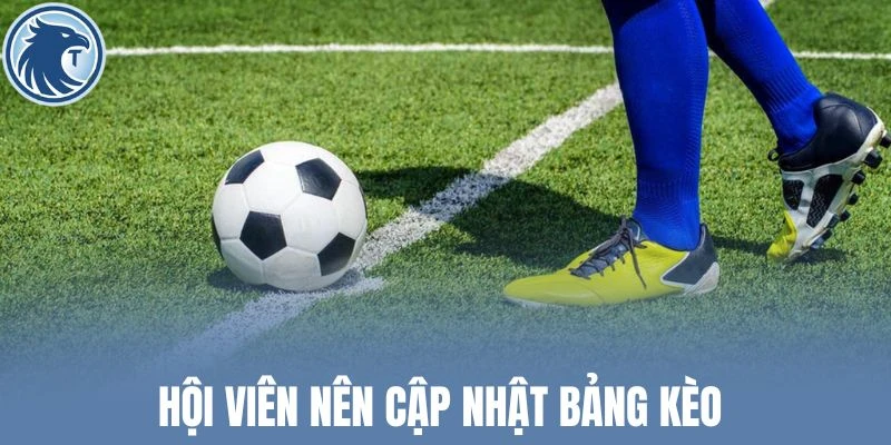 Hội viên nên cập nhật bảng kèo 