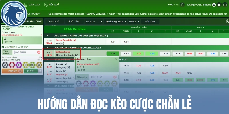 Hướng dẫn đọc kèo cược chẵn lẻ