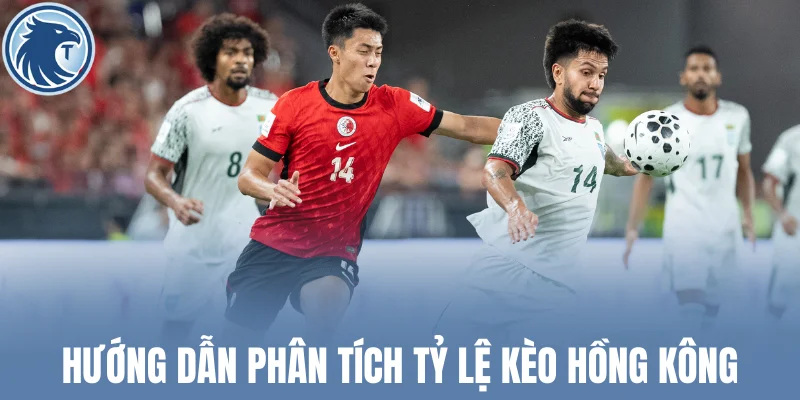 Hướng dẫn phân tích tỷ lệ cược Hồng Kông