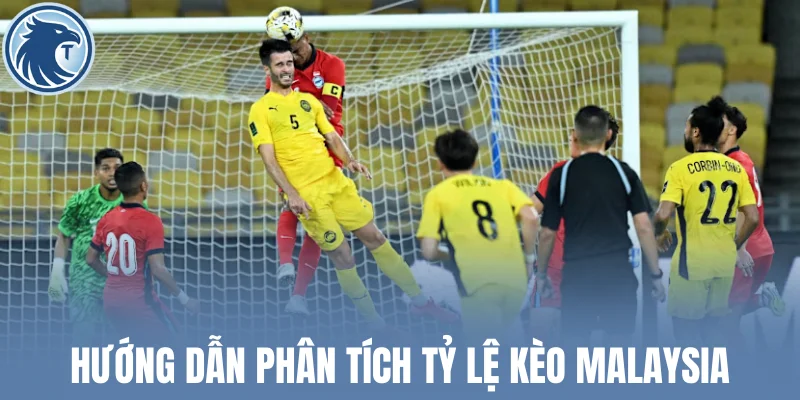 Hướng dẫn phân tích tỷ lệ kèo Malaysia trong bóng đá