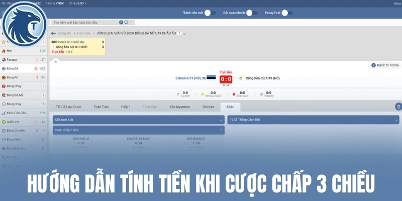 Hướng dẫn tính tiền khi cược chấp 3 chiều