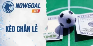 Hướng dẫn đọc kèo cược chẵn lẻ