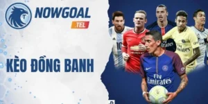 Kèo Đồng Banh Là Gì? Cách Nhận Định Thế Trận 50/50 Dễ Dàng