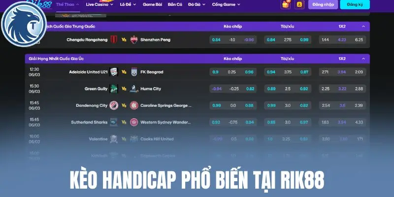 Kèo handicap phổ biến tại Rik88