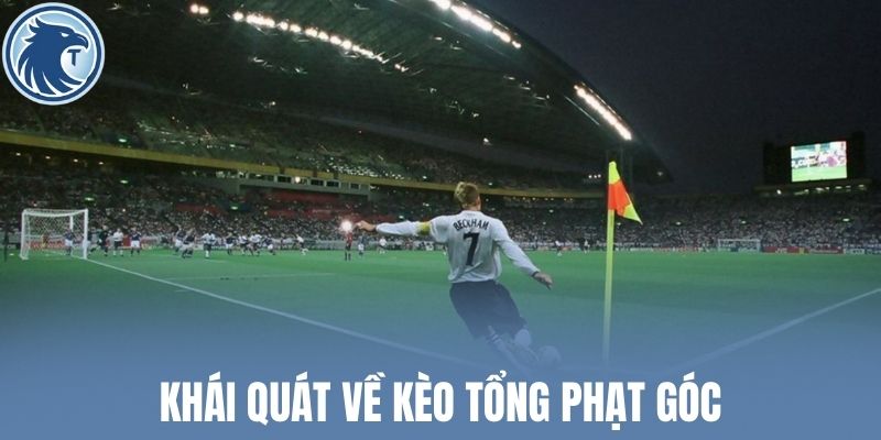 Khái quát về kèo tổng phạt góc