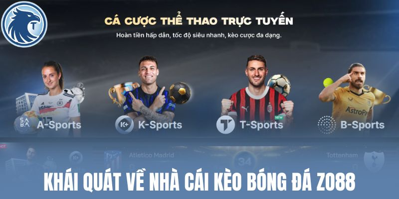 Khái quát về nhà cái kèo bóng đá Zo88