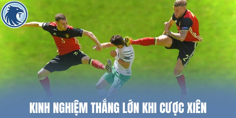 Kinh nghiệm thắng lớn khi cược xiên