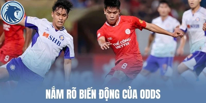 Nắm rõ biến động của Odds