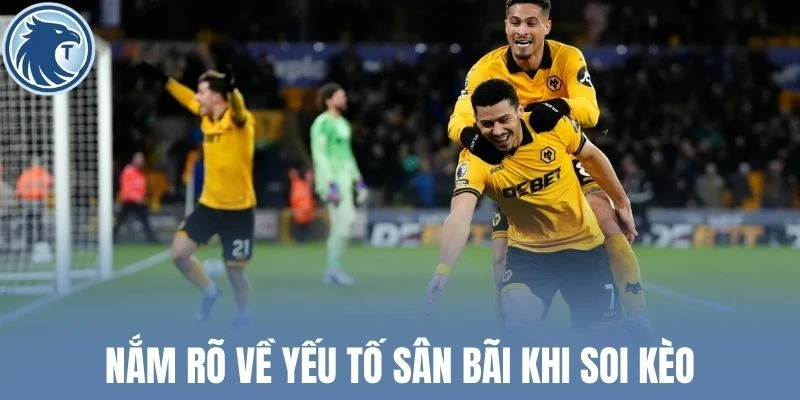 Nắm rõ về yếu tố sân bãi khi soi kèo