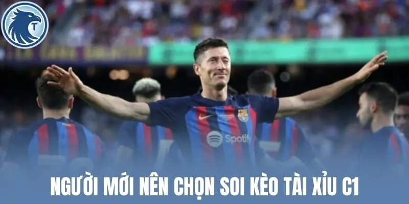 Người mới nên chọn soi kèo tài xỉu C1