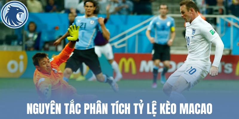 Nguyên tắc phân tích tỷ lệ kèo Macao và đặt cược