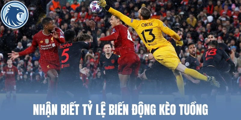 Nhận biết tỷ lệ biến động kèo tuồng
