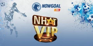 Nhatvip – Cập Nhật 500+ Giải Đấu, Kèo Thể Thao Phong Phú