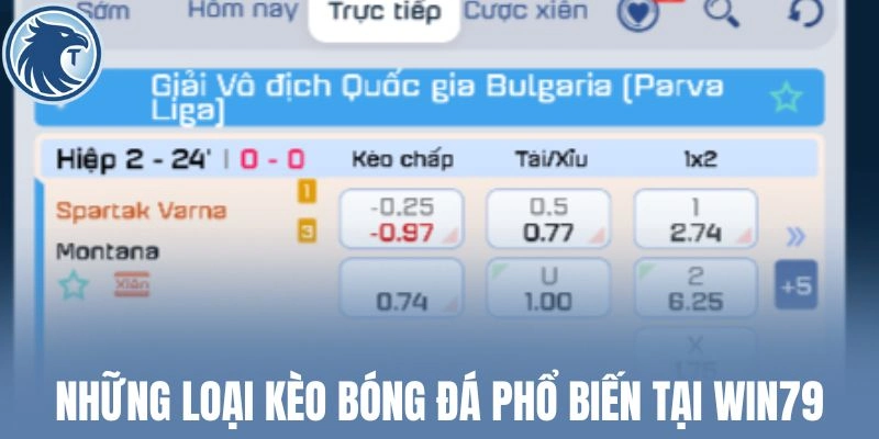 Những loại kèo bóng đá phổ biến tại Win79