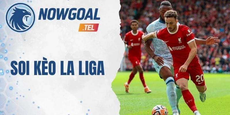 Lưu ý yếu tố ngoại cảnh khi soi kèo