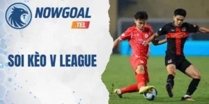 Soi Kèo V League – Tổng Hợp Dữ Liệu Thống Kê Chuẩn Xác