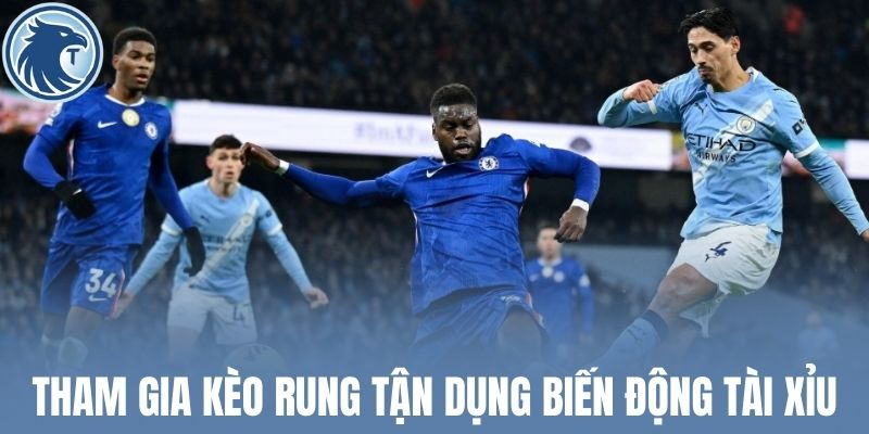 Tham gia kèo rung tận dụng biến động tài xỉu