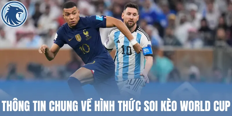 Thông tin chung về hình thức soi kèo World Cup
