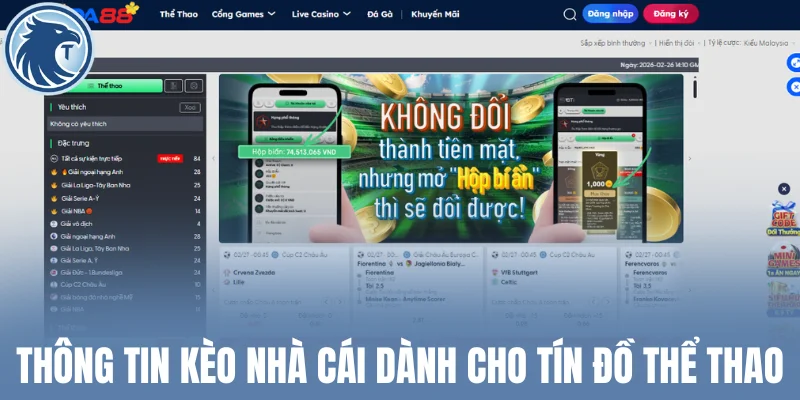 Thông tin kèo nhà cái dành cho tín đồ thể thao