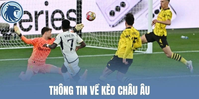 Thông tin về kèo châu Âu