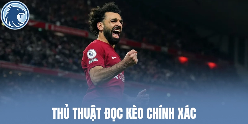 Thủ thuật đọc kèo chính xác