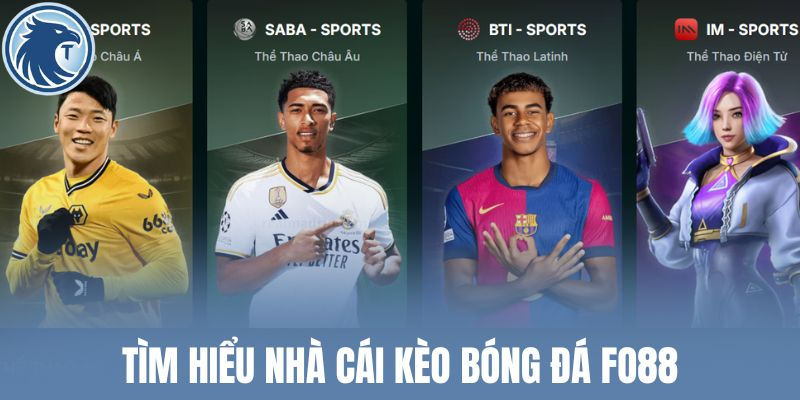 Tìm hiểu nhà cái kèo bóng đá Fo88
