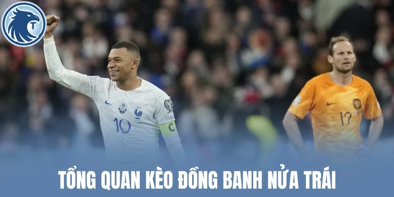 Tổng quan kèo đồng banh nửa trái
