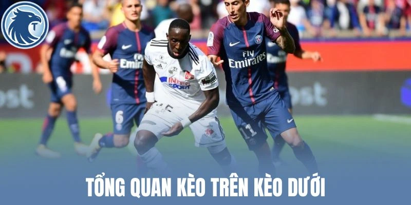 Khám phá các tỷ lệ chấp cơ bản