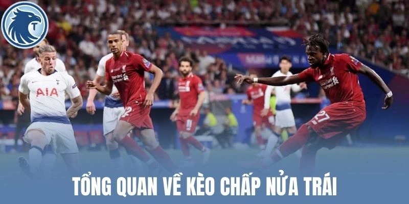 Tổng quan về kèo chấp nửa trái