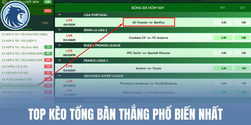 Top kèo tổng bàn thắng phổ biến nhất