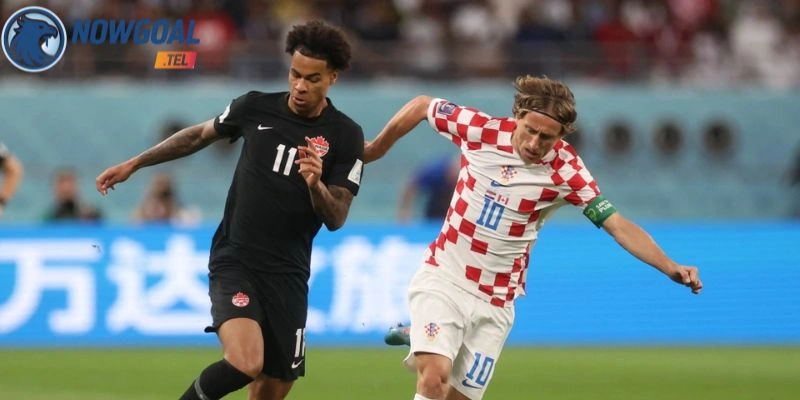 Dự kiến sơ đồ ra sân Bosnia and Herzegovina vs Qatar