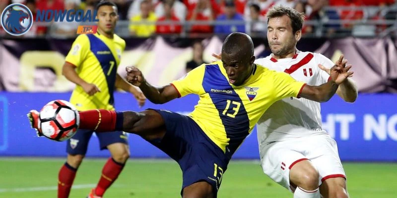 Sơ đồ ra sân của Brazil vs Haiti