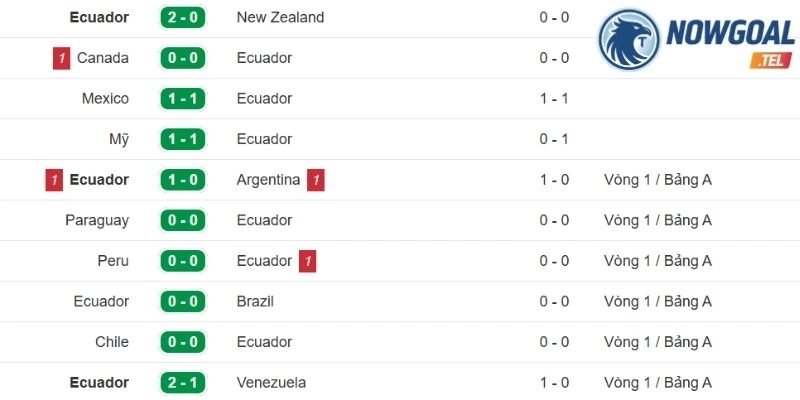 Tình hình thi đấu gần đây của đội Ecuador